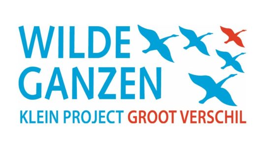 post-goed-nieuws-wilde-ganzen